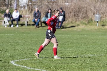 Bild 324 - F SG NieBar - IF Stjernen Flensborg : Ergebnis: 4:1